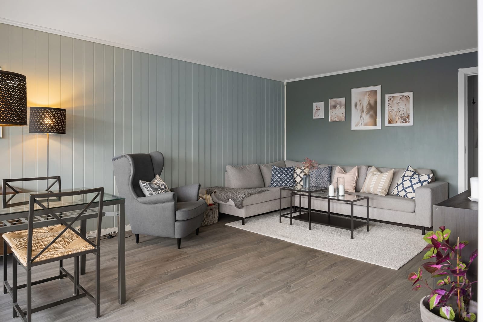 A quiet living room in soft daylight, its painted walls meeting the ceiling in one clean, unbroken line.